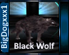 [BD] Black Wolf