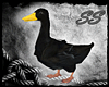 [SS] Shoulder B Duck (F)