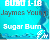 Jaymes Young: Sugar Burn
