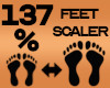 Feet Scaler 137%