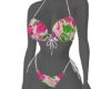 𝙀｡Delta Zeta Bikini