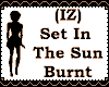 (IZ) Set InTheSun Burnt