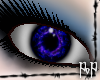 [PoP]Nevermore Eyes