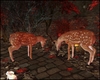 Deers 2