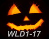 wld1-17