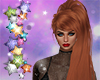 Cesu Ginger