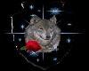 Wolf Picture/Sticker