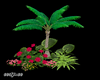 TropicalPlants