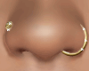 ARC* Lux gold piercing