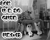 1M1 24K - U R SO CUTE