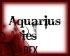 BFX Aquarius/ Aries