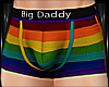 ~Pride Big Dad Briefs~