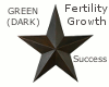 Hex Star - Green - Dark