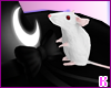 K|Addon*MouseFamiliar