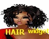 HairStyles Widget