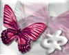 butterfly eclectic mgent