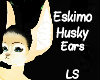 Eskimo Husky Ears