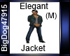 [BD] Elegant Jacket 2