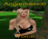 AM*!VOCESMEXICANAS1