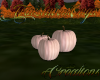 (T)Fall Pumpkins1