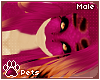 [Pets] Coralia | hair v2