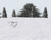 TG| Outside Snow BG