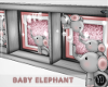 Baby Girl Elephant |YD