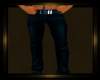 ~SE~DarkBlue Trousers