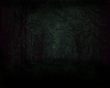 H. Dark forest Backdrop