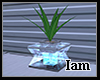 [Iam] vased plant2