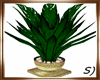 !! Plant Potted
