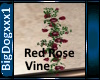 [BD]Rose Vine