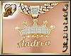 "S" ANDREA GOLD FOR HIM