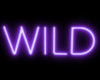 Purple Wild Neon