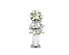 White Wedding Roses