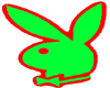 green bunny