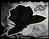 [SS] Black Rose Ring - L
