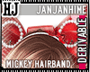 ! # Mickeyhairband [HJ]