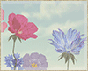 Floral spring photoroom