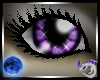 Cinna Purple Eyes