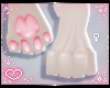 ˏˋ✧ Furry Paws