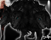 ! Black Ceberus Wolf