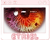 E|  Holi Eyes 01