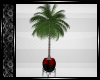KMA Potted Palm Tree