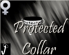 [J-O]Protected Collar
