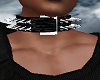 2 Spike Rows Collar