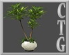 BEL AIR LG POTTED PLANT