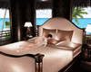 [ASP] Honeymoon Bed