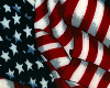 USA Flag Belly Bow