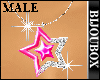 BBox-Pink Star Necklace